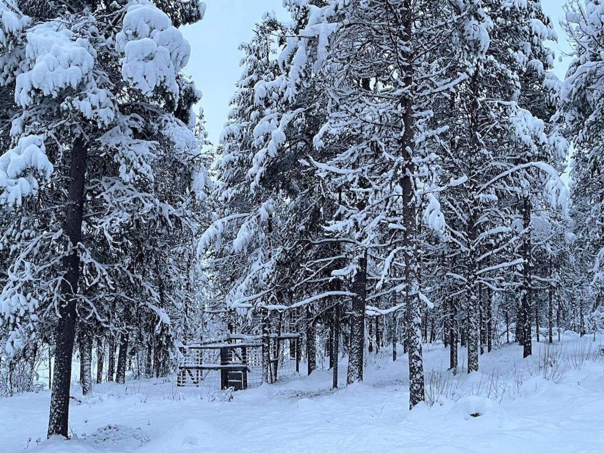 Viihtyisae Moekki Riekkojen Mailla Hetassa Villa Enontekiö Екстериор снимка